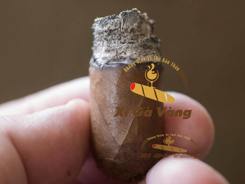 Hương vị khiến người trải nghiệm mê đắm ngay từ ban đầu